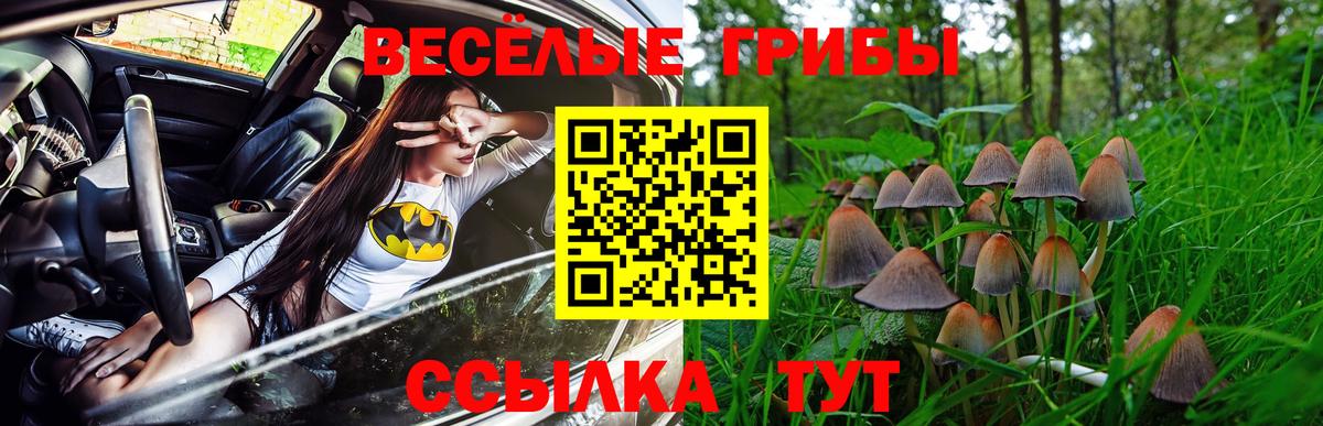 Псилоцибиновые грибы Psilocybine cubensis  Вход с VPN  Псилоцибиновые грибы Cubensis  Биробиджан 