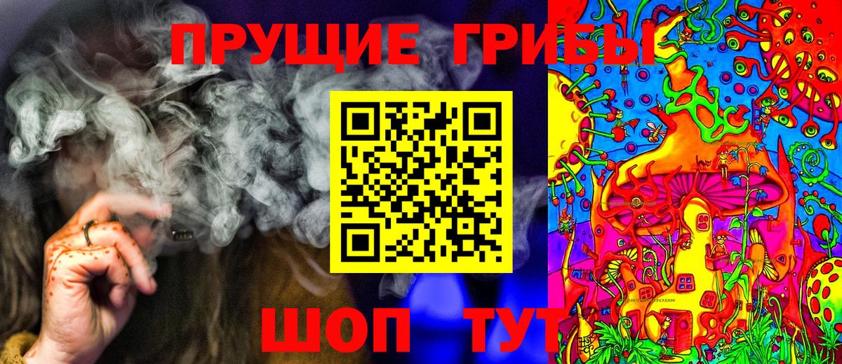 Псилоцибиновые грибы Cubensis Биробиджан